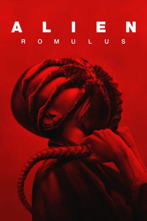 Alien: Romulus 2024 Hindi (Cleaned) Dual Audio Web-DL 1080p – 720p – 480p