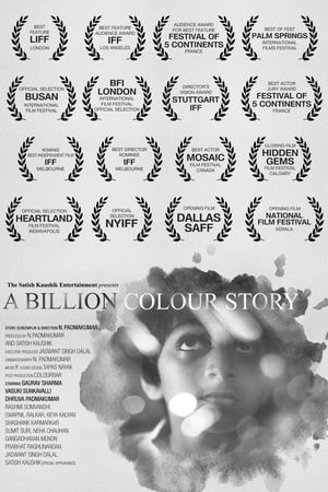 A Billion Colour Story 2016 Movie 480p HDRip – [330MB]