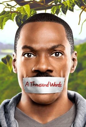 A Thousand Words (2012) Hindi Dual Audio 480p BluRay 300MB