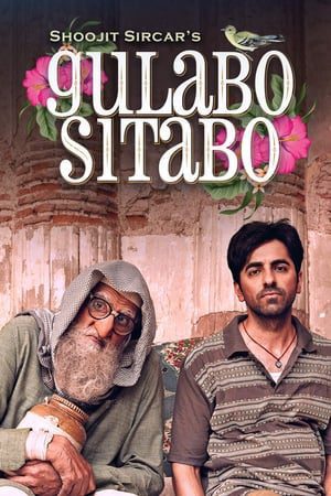 Gulabo Sitabo 2020 Hindi Movie 480p HDRip – [360MB]