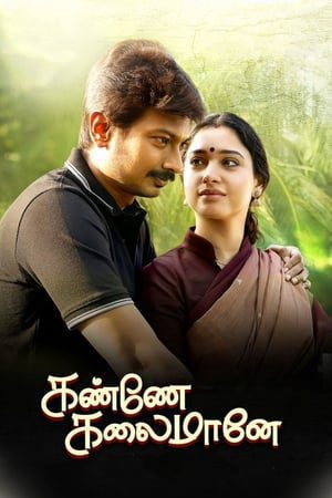 Kanne Kalaimaane 2019 (Hindi – Tamil) Dual Audio 480p UnCut HDRip 450MB