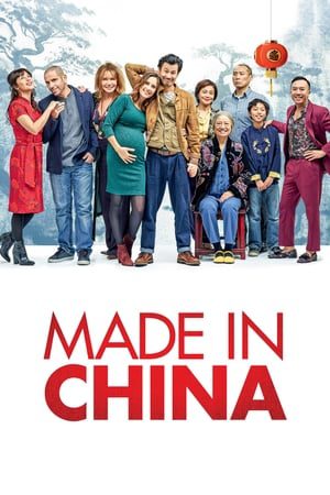 Made in China (2019) Hindi Movie 480p HDRip – [340MB]