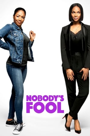 Nobody’s Fool (2018) Hindi Dual Audio 480p BluRay 360MB