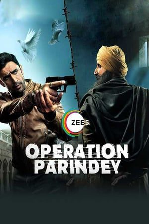 Operation Parindey 2020 Hindi Movie 480p HDRip – [200MB]