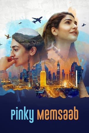 Pinky Memsaab 2018 Urdu Movie 480p HDRip – [360MB]