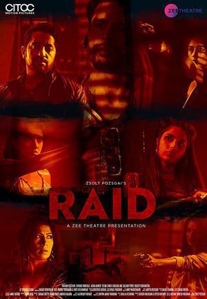 Raid 2019 Hindi Movie 720p HDRip x264 [650MB]