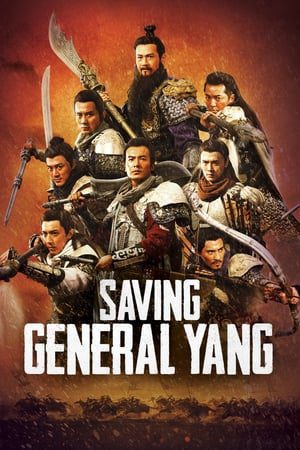 Saving General Yang (2013) Hindi Dual Audio 720p BluRay [900MB]