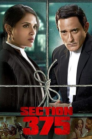 Section 375 (2019) Hindi Movie 480p HDRip – [360MB]