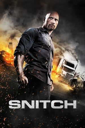 Snitch (2013) Hindi Dual Audio 480p BluRay 350MB