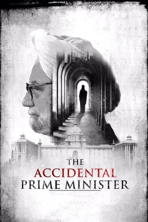 The Accidental Prime Minister (2019) Hindi Movie 480p HDRip – [400MB]