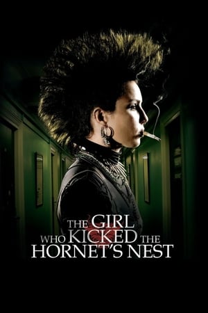 The Girl Who Kicked the Hornet’s Nest (2009) Hindi Dual Audio 720p BluRay [1.2GB]