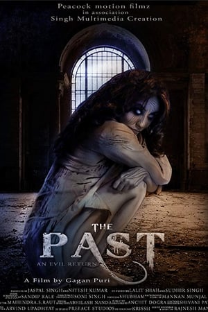 The Past 2018 Hindi Movie 480p HDRip – [350MB]