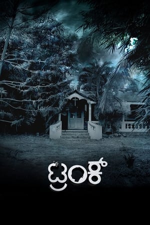 Trunk (2018) (Hindi – Kannada) Dual Audio 720p UnCut HDRip [1.4GB]