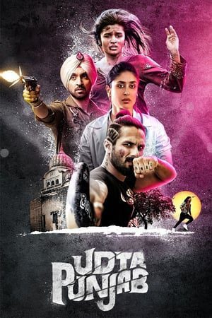 Udta Punjab (2016) Hindi Movie 480p BluRay – [340MB]