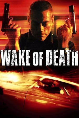 Wake of Death 2004 Hindi Dual Audio 720p BluRay [1GB]