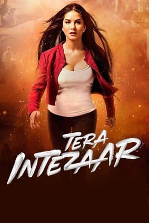 Tera Intezaar 2017 Movie 480p HDRip – [300MB]