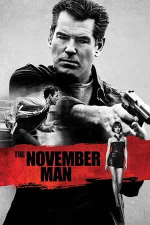 The November Man (2014) BluRay [Hindi (ORG 5.1) & English] 1080p 720p & 480p Dual Audio [x264] | Full Movie