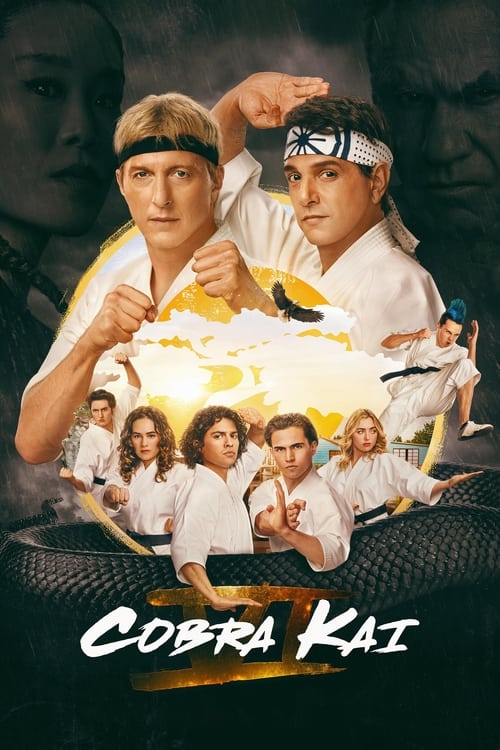 Cobra Kai (Season 6) WEB-DL [Hindi (DD5.1) & English] 1080p & 720p [x264/10Bit-HEVC] | NF Series | [PART-2 Added]